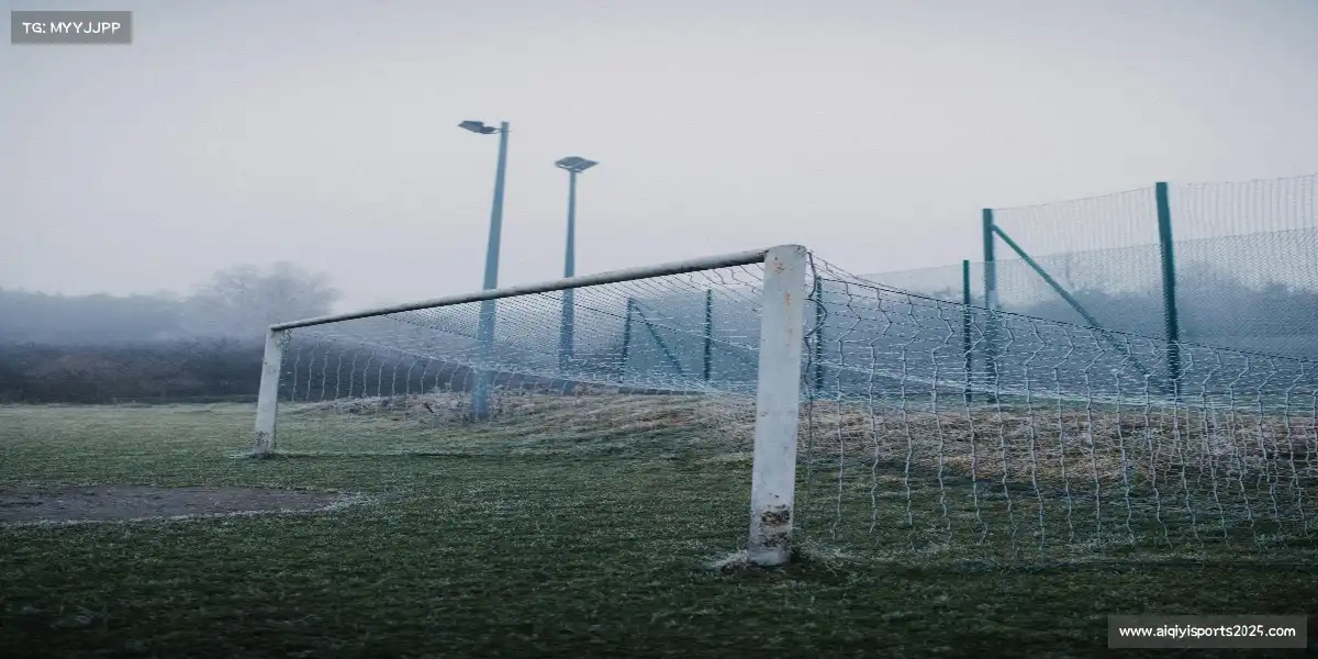 爱奇艺体育直播——👊武术擂台,气吞万里!